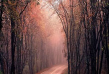 九游中国-绿茵风暴！欧洲豪门巅峰对决倒计时