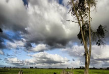 九游体育-燃擎亚洲之巅！中国男篮钢铁洪流问鼎洲际杯，擎动商业新纪元