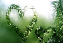 九游娱乐-阿尔艾因进攻端火力全开,状态持续爆发