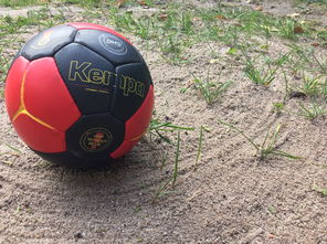 九游娱乐网站-蒙特雷赛前体能检测通过，争冠筹备顺利