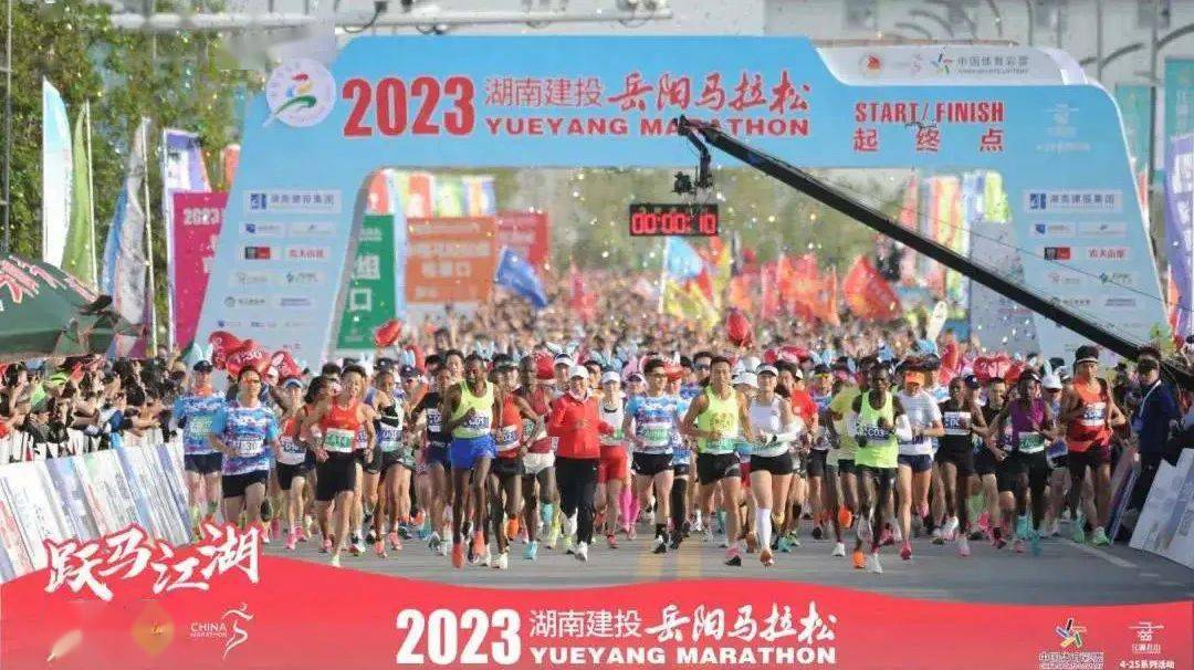 包含塔拉高度重视下一场比赛的备战的词条